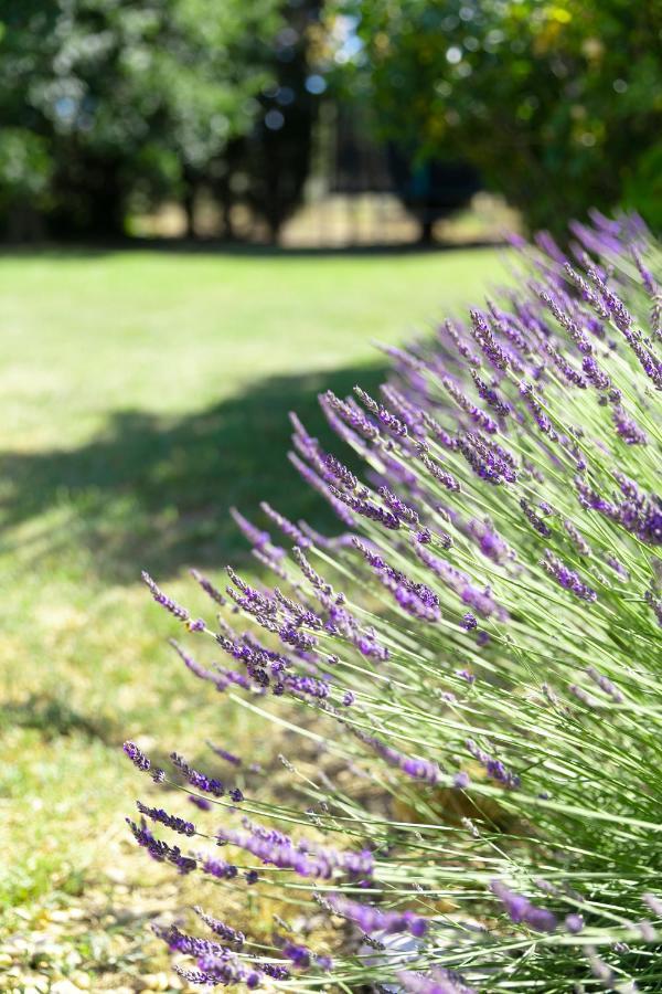 Willa Mas Coeur De Provence Calme Luxe Grand Parc Pernes-les-Fontaines Zewnętrze zdjęcie
